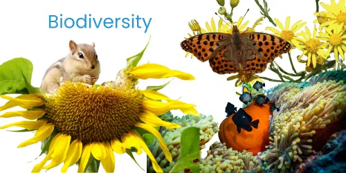 Biodiversity