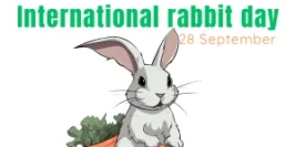 International Rabbit Day: Celebrating These Adorable Creatures