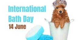 International Bath Day: Enjoy Relaxing and Caring for Yourself