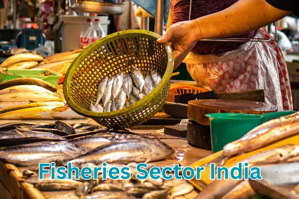 fisheries sector india