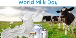 Celebrating the Goodness of Milk – Happy World Milk Day!